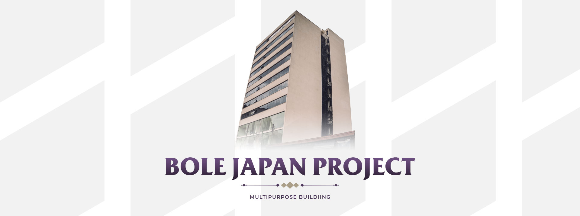 Bole-Japan-Project-Slider-Photo-2.jpg