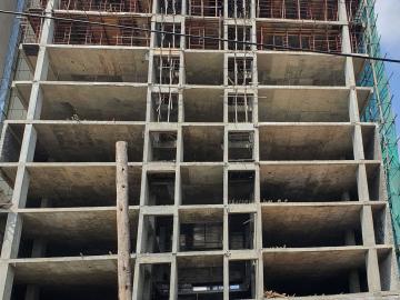 Construction & Real Estate