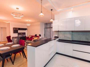 Construction & Real Estate