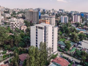 Construction & Real Estate