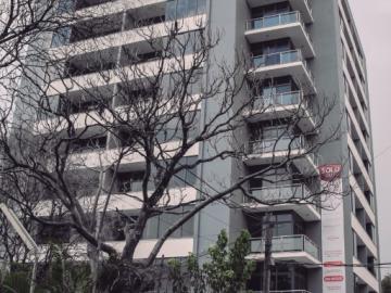 Construction & Real Estate